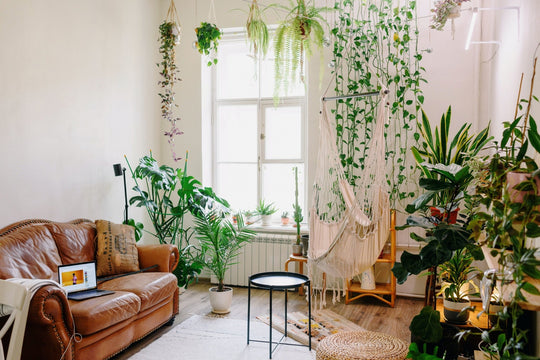 A Beginner’s Guide to Propagating Plants - Respira