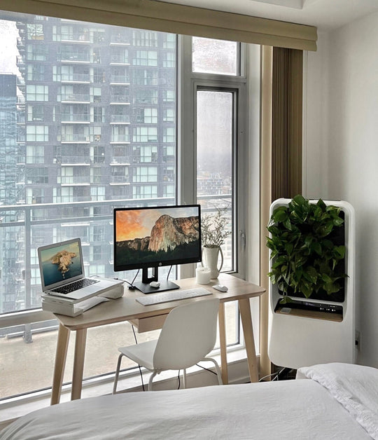 Boost Productivity While Working From Home - Respira