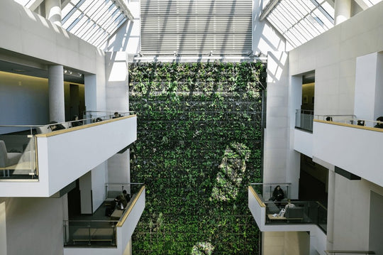 Breathing Easy: How Biofilters Can Improve Indoor Air Quality and Energy Efficiency in Buildings - Respira