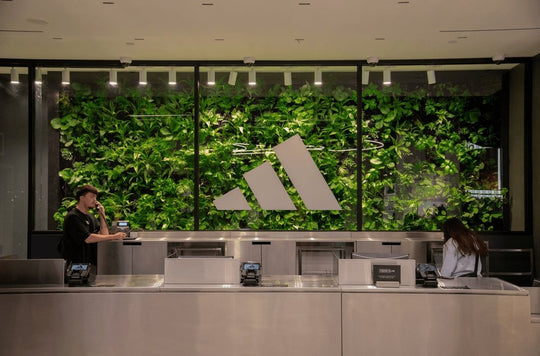 Bringing In Plants & Boosting Sales - Respira
