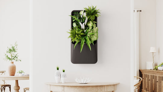 Hydroponics, Cleaner Air, and Respira - Respira
