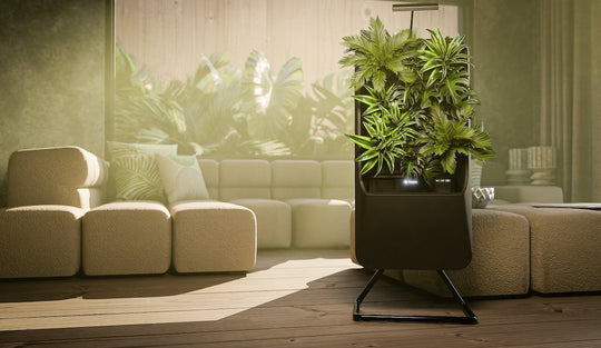 Improving the Health of Indoor Spaces as Life Shifts Indoors - Respira