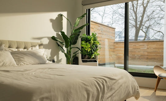Improving Your Home with Biofiltration - Respira