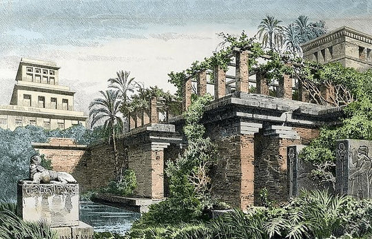 Living Walls: A Visual History - Respira