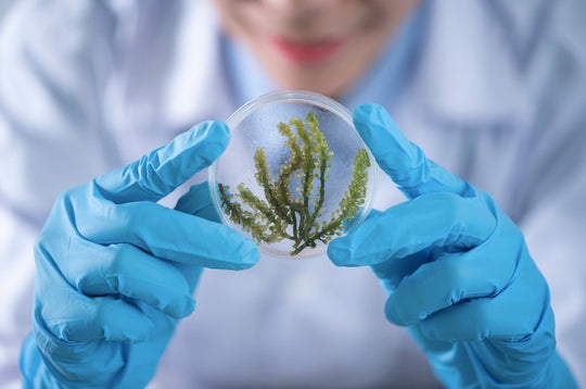 Scientific Testing to Prove Respira Works - Respira