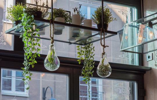 Small Space Gardening: Build Your Own Concrete Jungle - Respira