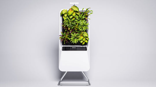 Team Profile - Tristan Zimmerman (Design Director) - Respira