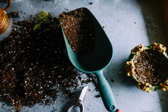 Tips for Starting Your Garden This Spring - Respira
