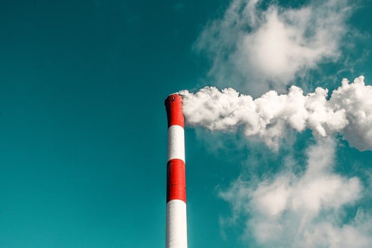 Why Do We Purify Our Water But Not Our Air? - Respira