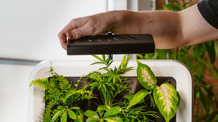 High Efficiency LED Grow Light - Respira