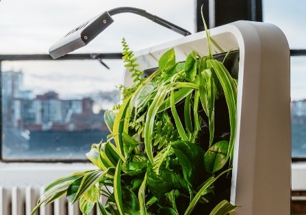 High Efficiency LED Grow Light - Respira